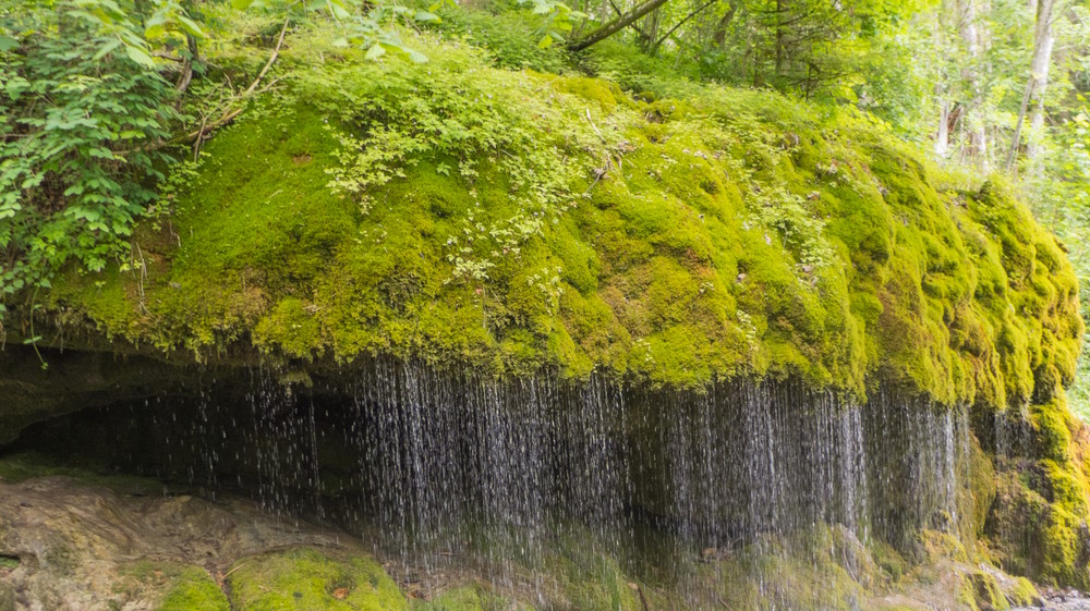 Dietfurter Wasserfall