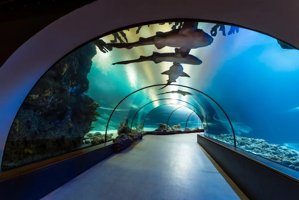Diergaarde Blijdorp, Rotterdam