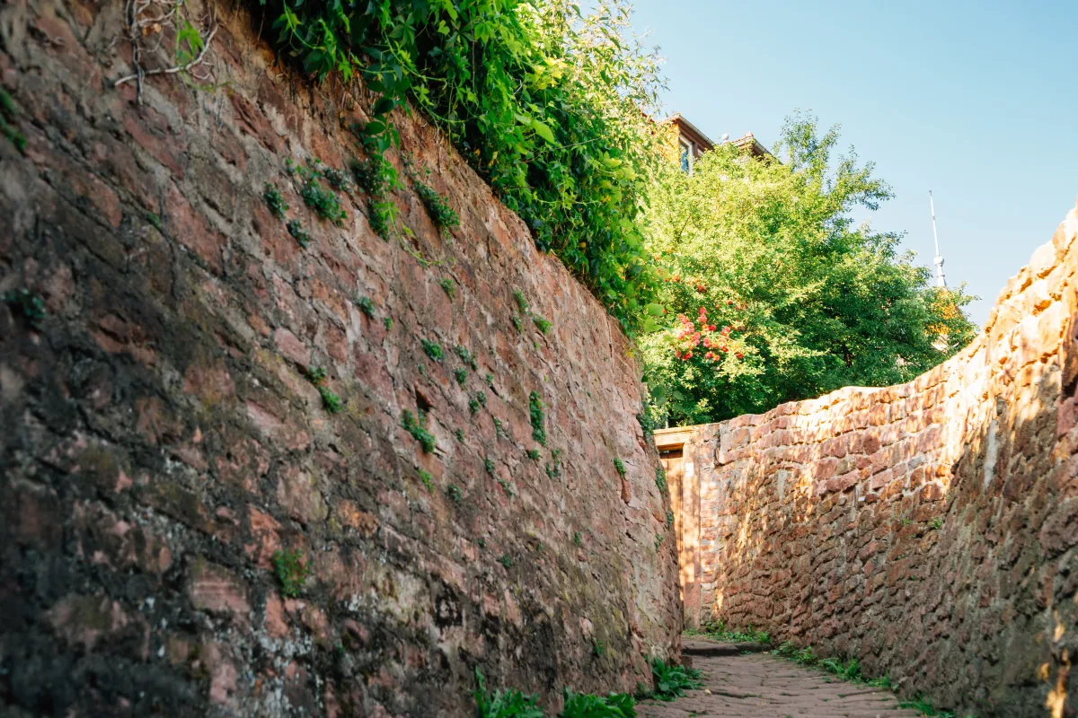De Filosofenweg (Philosophenweg), Heidelberg